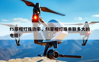 f5草帽灯珠功率，f8草帽灯珠串联多大的电阻！