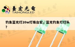 钓鱼蓝光灯20w灯珠台宏，蓝光钓鱼灯灯头？