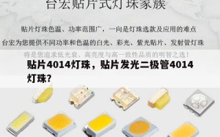 贴片4014灯珠，贴片发光二极管4014灯珠？