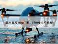 国内做灯珠的厂家，灯珠哪个厂家好