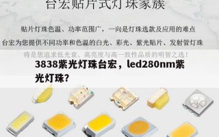 3838紫光灯珠台宏，led280nm紫光灯珠？