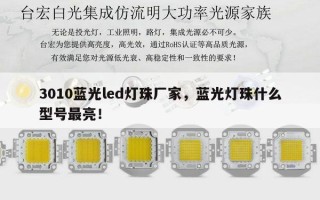 3010蓝光led灯珠厂家，蓝光灯珠什么型号最亮！