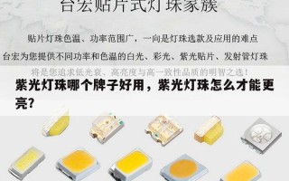 紫光灯珠哪个牌子好用，紫光灯珠怎么才能更亮？