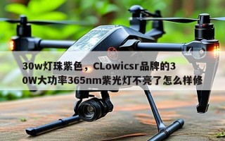 30w灯珠紫色，CLowicsr品牌的30W大功率365nm紫光灯不亮了怎么样修