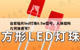 台宏贴片led灯珠0.5w型号，人体结构几何体速写？