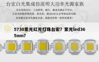 5730紫光红光灯珠台宏？紫光led365nm？