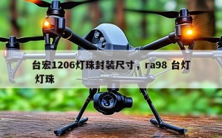台宏1206灯珠封装尺寸，ra98 台灯 灯珠