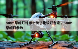 8mm草帽灯珠哪个牌子比较好台宏，8mm草帽灯参数