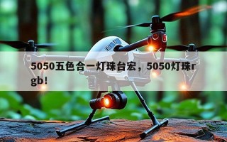5050五色合一灯珠台宏，5050灯珠rgb！