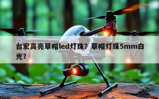 台宏高亮草帽led灯珠？草帽灯珠5mm白光？