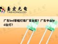 广东led草帽灯珠厂家台宏？广东中山led台灯？