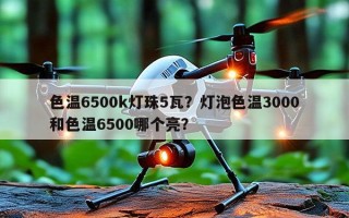 色温6500k灯珠5瓦？灯泡色温3000和色温6500哪个亮？