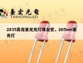 2835高亮紫光光灯珠台宏，265nm紫光灯