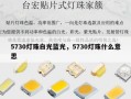 5730灯珠白光蓝光，5730灯珠什么意思
