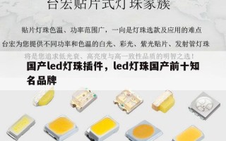 国产led灯珠插件，led灯珠国产前十知名品牌