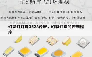 幻彩灯灯珠3528台宏，幻彩灯珠的控制程序