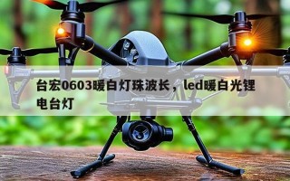 台宏0603暖白灯珠波长，led暖白光锂电台灯