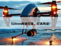 520nm陶瓷灯珠，灯具陶瓷！