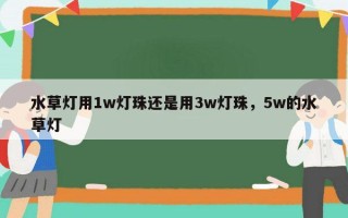 水草灯用1w灯珠还是用3w灯珠，5w的水草灯
