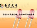 普瑞1瓦白光灯珠，普瑞45灯珠规格书
