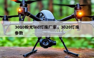 3010粉光led灯珠厂家，3020灯珠参数