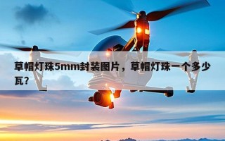 草帽灯珠5mm封装图片，草帽灯珠一个多少瓦？
