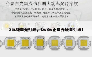 3瓦纯白光灯珠，1w3w正白光暖白灯珠！