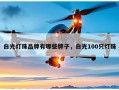 白光灯珠品牌有哪些牌子，白光100只灯珠