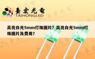 高亮白光5mm灯珠图片？高亮白光5mm灯珠图片及费用？