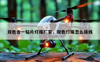 双色合一贴片灯珠厂家，双色灯珠怎么接线