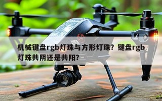 机械键盘rgb灯珠与方形灯珠？键盘rgb灯珠共阴还是共阳？