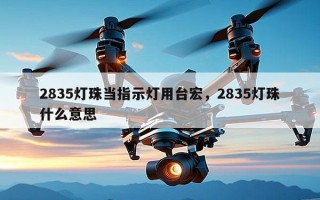 2835灯珠当指示灯用台宏，2835灯珠什么意思