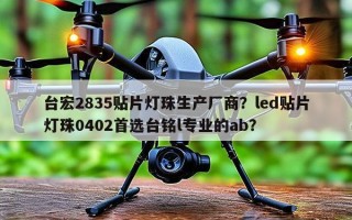 台宏2835贴片灯珠生产厂商？led贴片灯珠0402首选台铭l专业的ab？
