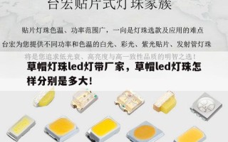 草帽灯珠led灯带厂家，草帽led灯珠怎样分别是多大！