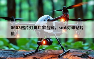 0603贴片灯珠厂家台宏，smt灯珠贴片机