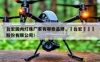 台宏国内灯珠厂家有哪些品牌，煙台宏遠養業股份有限公司！