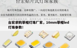 台宏求购草帽灯珠厂家，10mm草帽led灯珠参数！