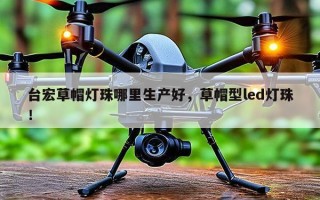 台宏草帽灯珠哪里生产好，草帽型led灯珠！