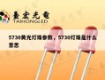 5730黄光灯珠参数，5730灯珠是什么意思