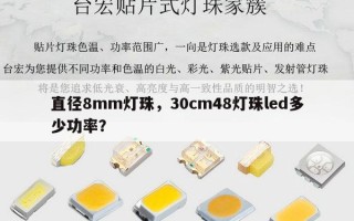直径8mm灯珠，30cm48灯珠led多少功率？