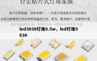 led3030灯珠0.5w，led灯珠5630