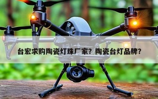 台宏求购陶瓷灯珠厂家？陶瓷台灯品牌？