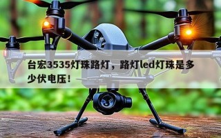 台宏3535灯珠路灯，路灯led灯珠是多少伏电压！