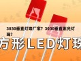 3030垂直灯珠厂家？3030垂直紫光灯珠？