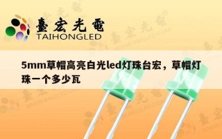 5mm草帽高亮白光led灯珠台宏，草帽灯珠一个多少瓦