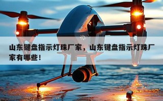 山东键盘指示灯珠厂家，山东键盘指示灯珠厂家有哪些！