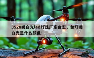 3528暖白光led灯珠厂家台宏，台灯暖白光是什么颜色！