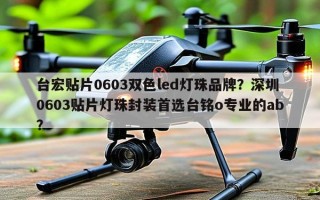 台宏贴片0603双色led灯珠品牌？深圳0603贴片灯珠封装首选台铭o专业的ab？