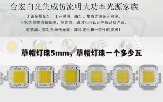 草帽灯珠5mm，草帽灯珠一个多少瓦