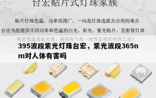 395波段紫光灯珠台宏，紫光波段365nm对人体有害吗